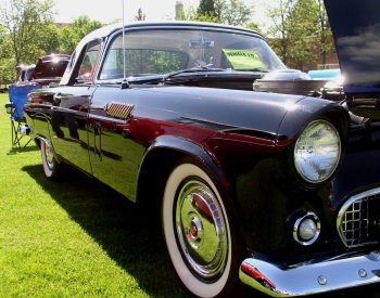 1955 Thunderbird